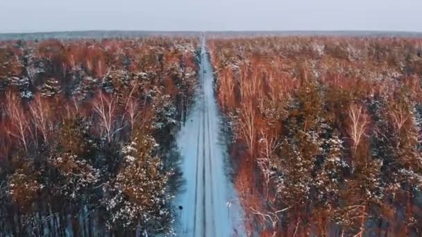 Vista aérea de la carretera a través del bosque cubierto de nieve — Vídeos de Stock