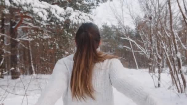Jovem mulher pulando animado no parque coberto de neve — Vídeo de Stock