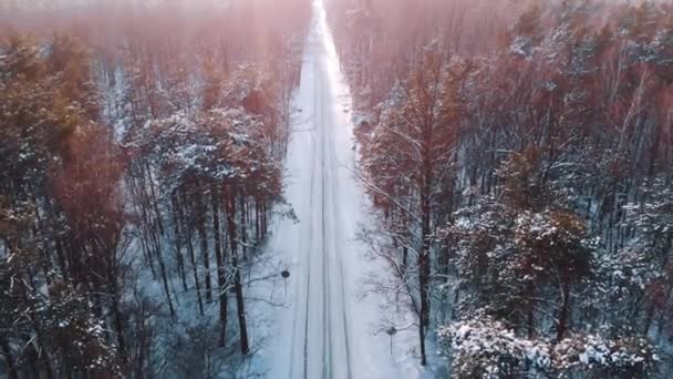 雪に覆われた森の中を通る道の空中風景 — ストック動画