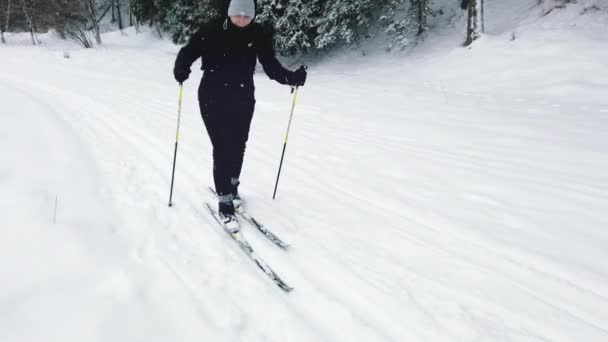 Ung kvinna går med skidor på snöig vinterdag. Längdskidåkning — Stockvideo