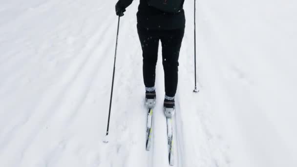 Bakåt syn på ung kvinna promenader med himmel på snöig vinterdag. Längdskidåkning — Stockvideo