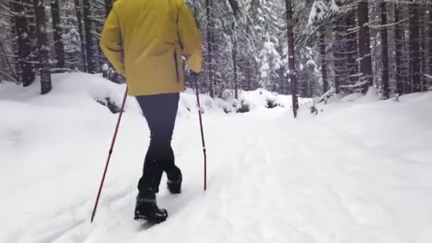 Låg vinkel syn på människan längdskidåkning på snöig vinterdag — Stockvideo