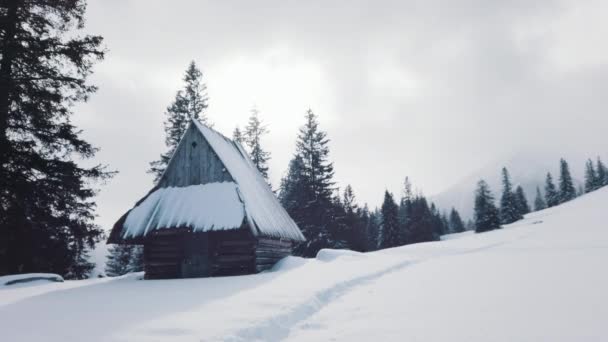 Idyllic winter landscape with snow covered wooden mountain hut — Stock Video