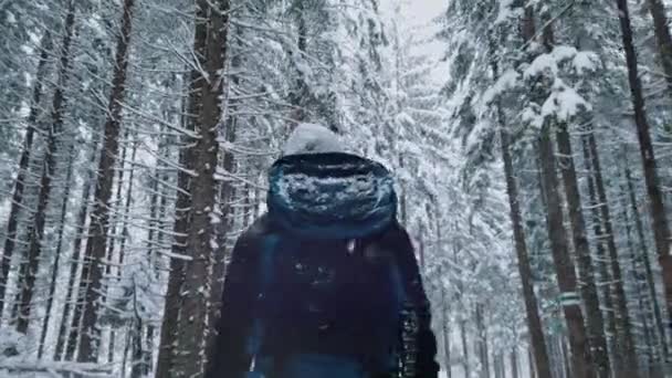 Bakåt syn på ung man med ryggsäck promenader genom skogen på snöig vinterdag — Stockvideo