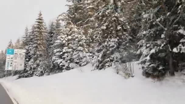 Zakopane, Polonya 27.01.2021 tabelası ve dağ yolu yakınlarında karla kaplı pne ağaçları. araba sürüyorum. — Stok video