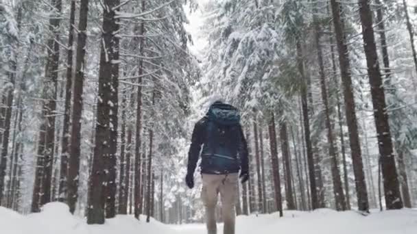 Ung man med ryggsäck går genom skogen på snöig vinterdag — Stockvideo