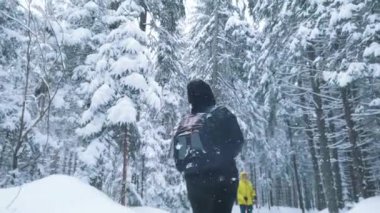 Karlı kış gününde çam ağaçlarıyla parkta yürüyen genç bir çift.