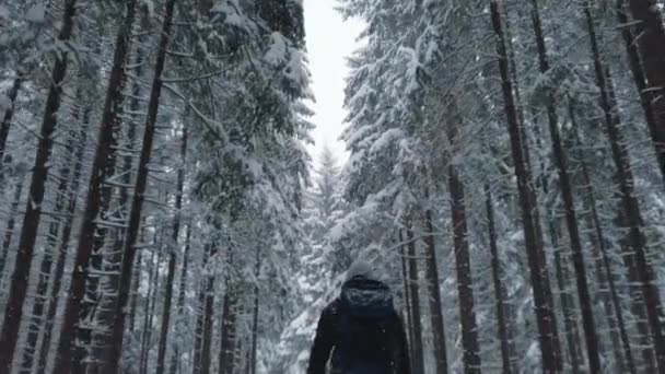 Jeune homme avec sac à dos marchant dans la forêt par une journée d'hiver enneigée. Vue à angle bas — Video