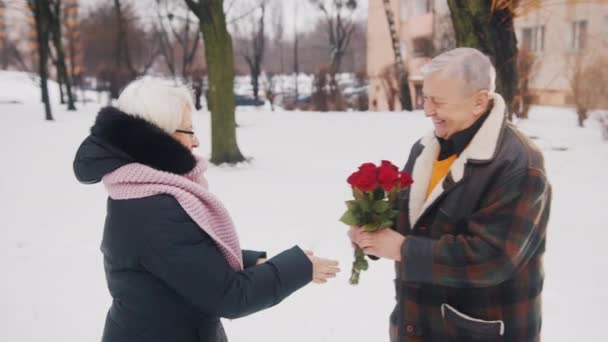 快乐的老人在公园里把一束红玫瑰送给他被雪覆盖的妻子。情人节 — 图库视频影像