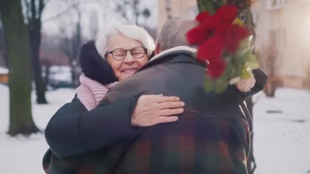 Saint Valentin et vieillesse. Couple de personnes âgées étreignant dans le parc. Femme tenant des roses rouges — Video