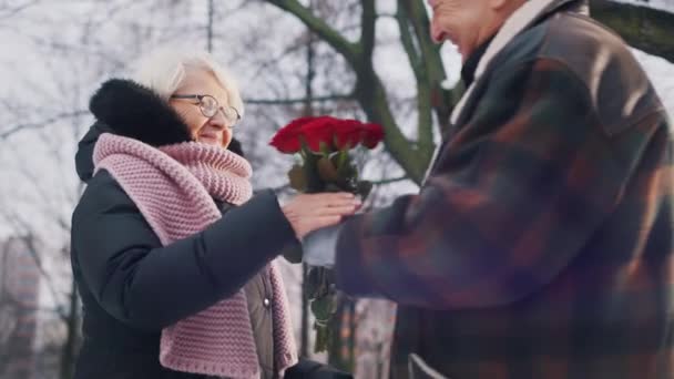 Glückliches älteres Paar, das sich unter dem schneebedeckten Baum umarmt. Winterspaziergang im Park. Mann schenkt Frau rote Rosen — Stockvideo