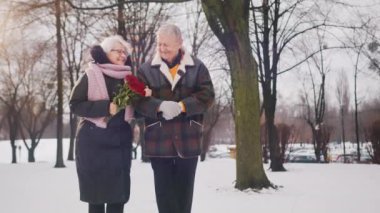 Parkta karla kaplı yürüyen mutlu yaşlı bir çift. Kırmızı güller saçan kadın
