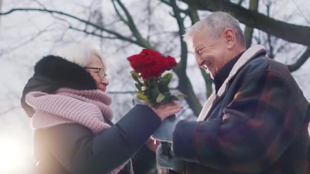 Amour et affection à la vieillesse. Homme âgé donnant des roses rouges à une femme âgée dans le parc en hiver — Video