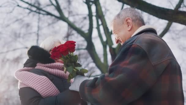 Ein älterer Mann schenkt einer älteren Frau im Winter im Park rote Rosen. Valentinstag oder Jahrestag. Partnersuche im Alter — Stockvideo