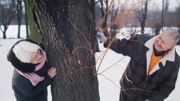 Ευτυχισμένο ηλικιωμένο ζευγάρι που κρύβεται πίσω από το δέντρο και φιλιέται. Αγάπη και στοργή στα γεράματα. Ημέρα του Αγίου Βαλεντίνου — Αρχείο Βίντεο