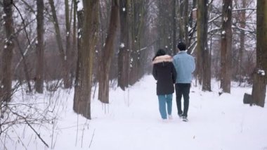 Sevgililer Günü 'nde karla kaplı parkta yürüyen genç bir çiftin arka görüntüsü.