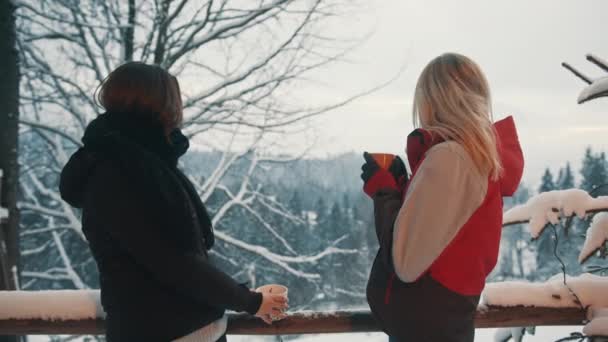 Deux jeunes femmes profitant de la vue sur la montagne couverte de neige et buvant des boissons chaudes pendant les vacances d'hiver — Video