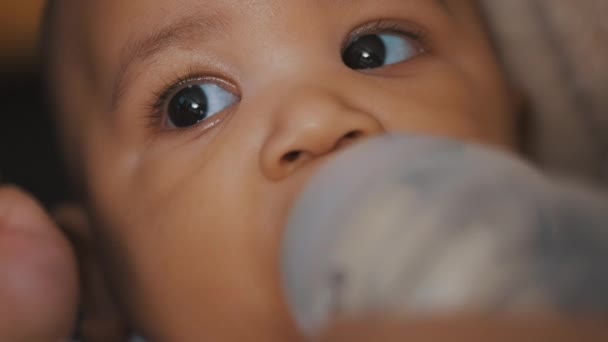 Adorable bebé multirracial de piel oscura bebiendo su leche de fórmula del biberón en las manos de su madre — Vídeos de Stock