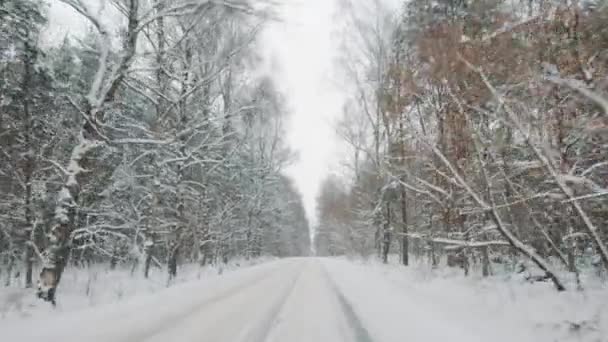 Viajes de invierno. Punto de vista disparado desde el coche que conduce en la carretera cubierta de nieve rodeada de árboles altos — Vídeos de Stock