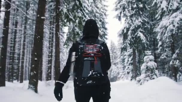 Jovem mulher irreconhecível caminhando pela floresta coberta de neve — Vídeo de Stock