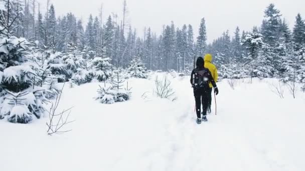 Jóvenes viajeros merodeando por la nieve en la montaña en invierno día nevado — Vídeo de stock