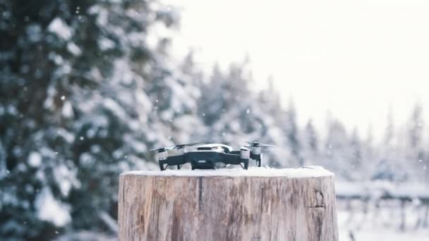 Cerca de dron levantándose del tocón del árbol en el día de invierno nevado — Vídeo de stock