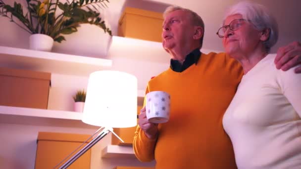 Curious elderly couple looking through the window with flashing police lights. — Stock Video