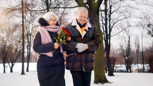 Happy elderly couple walking in the park covered in snow. Woman smeling red roses