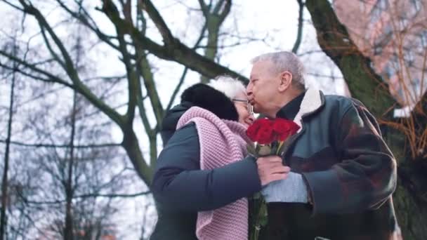 Feliz pareja de ancianos abrazándose bajo el árbol cubierto de nieve. Hombre dando rosas rojas a la mujer — Vídeos de Stock