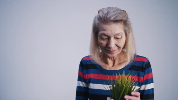 Anciana mujer solitaria sosteniendo planta en casa y admirándola — Vídeos de Stock