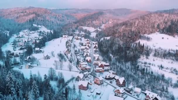 Drönare Video av små hus och träd täckta med snö i ett bergslandskap — Stockvideo