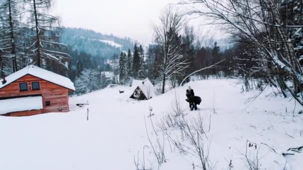 Paar genießt den Schneefall vor dem Holzhaus. Man wirft sich gegenseitig Schnee zu. Schneeballschlacht — Stockvideo