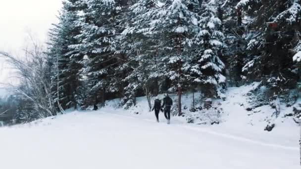 Giovane coppia che cammina su una montagna innevata con alberi sempreverdi — Video Stock