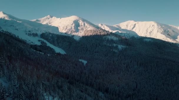 Зимовий ліс з засніженими горами на тлі ясного блакитного неба — стокове відео