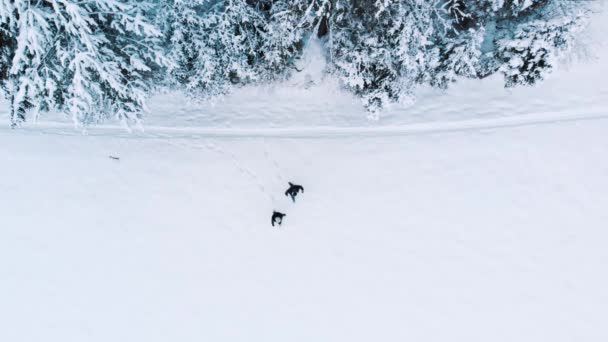 Junges Paar im Winterurlaub. Schneengel machen auf dem weiten Feld. Blick aus dem Hochwinkel — Stockvideo