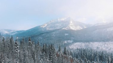 Kar yağışı sırasında arka planda dağlarla kaplı sonsuz yeşil ormanların nefes kesici kış manzarası.