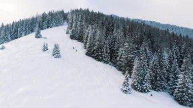 Kış tatili kavramı. Dağ yamacında, karlı bir günde ormanları var.