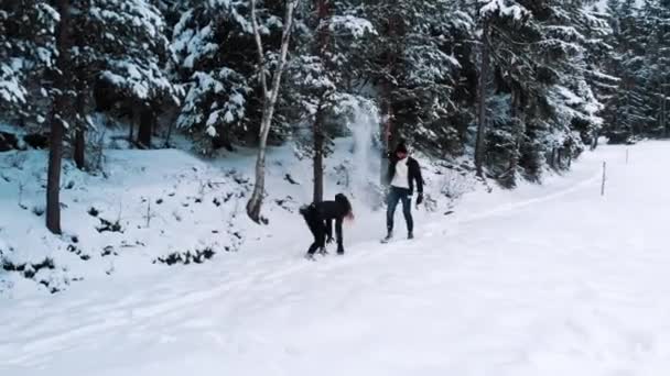 Jovem casal feliz brincando na neve. Puxando ramos de pinheiros e jogando neve em cada — Vídeo de Stock