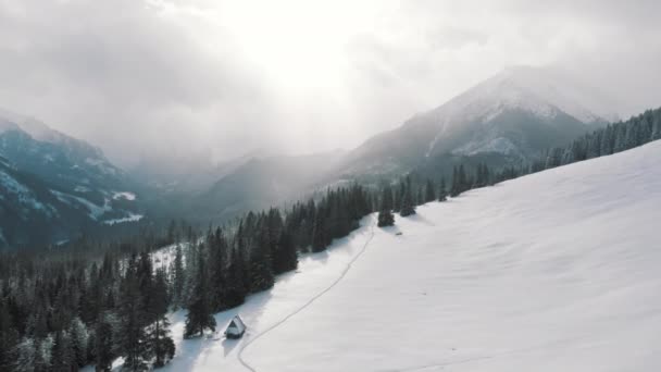 Туманний ранок над горами і вічнозелений ліс біля широкого поля, вкритого снігом . — стокове відео