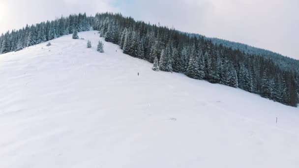 Концепція зимових канікул. Гірський схил з вічнозеленим лісом в сніжний день — стокове відео