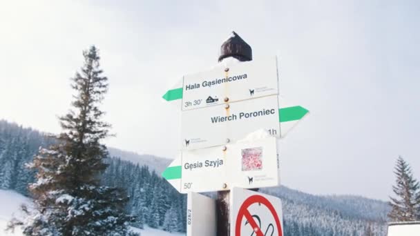 Indicazioni stradali su montagna ricoperta di neve e bosco sempreverde — Video Stock