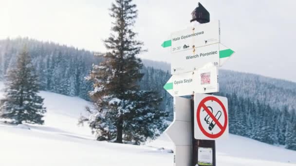 Irányjelző táblák a hegyen hóval és örökzöld erdővel borítva — Stock videók