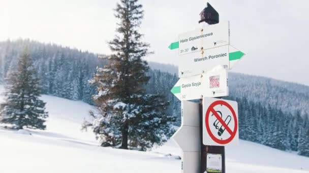 Kierunek znaki na górze pokryte śniegiem i wiecznie zielony las — Wideo stockowe