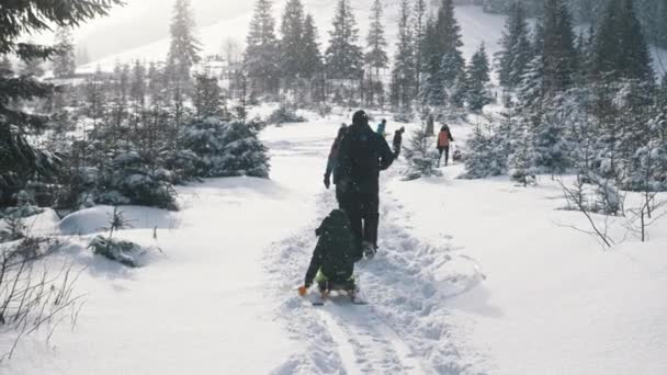 Gruppe von Menschen und Kindern, die den Hügel auf dem schneebedeckten Berg auf dem Pfad durch den Wald hinunter gehen — Stockvideo