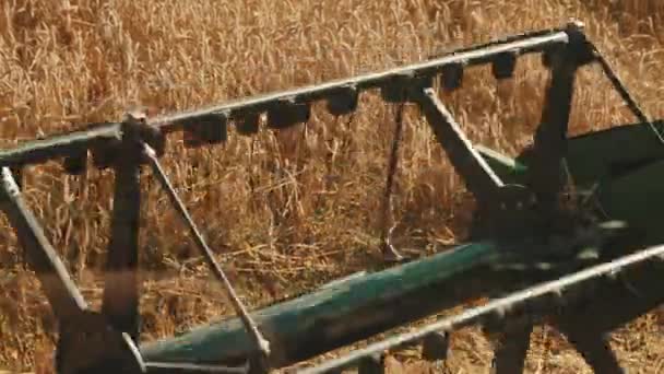 Fechar de uma barra de cortador de aço de combinar Harvester rolamento - Campo de trigo no fundo — Vídeo de Stock