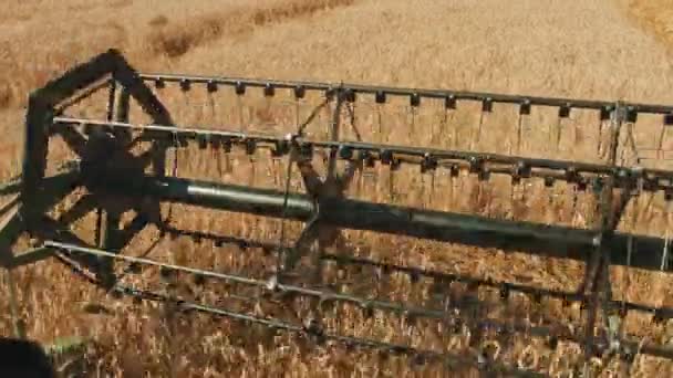 Primer plano de un encabezado de grano de una cosechadora moderna en un campo de trigo — Vídeos de Stock