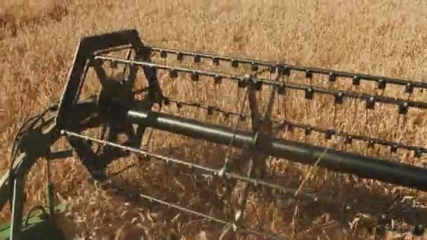 联合收割机切割条移动-在白天切割庄稼 — 图库视频影像