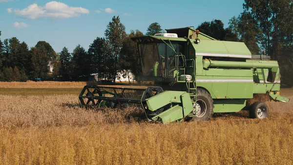 Vista laterale di una mietitrebbia verde moderna in un campo di grano pronto per la raccolta — Foto Stock