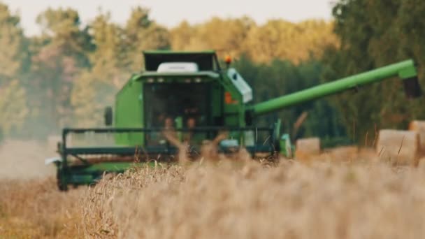 Gündüz vakti buğday tarlasında yükleme borusu olan büyük yeşil bir hasat makinesi. — Stok video