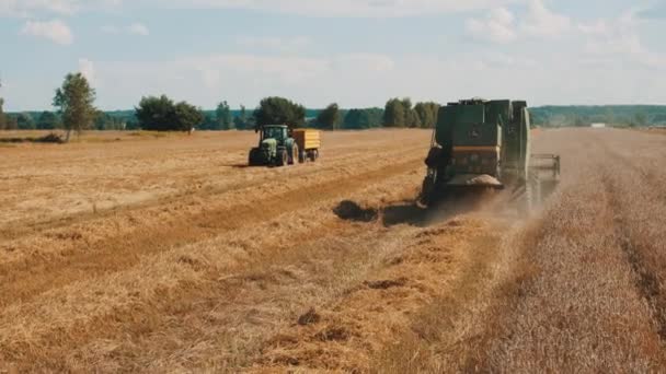 Tarımsal bir alanda hasat ve traktör. Tarım kavramı — Stok video